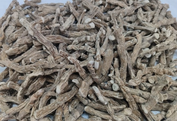 Hand-Graded Vasambu (Sweet Flag) Rhizome